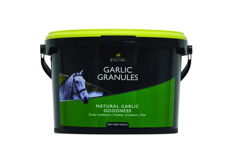 Lincoln Garlic Granules-2